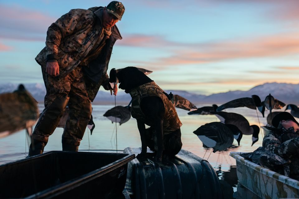 A hunter with a black Labrador at sunrise